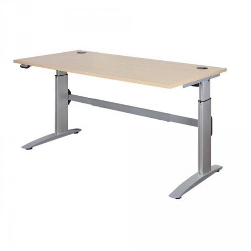 DeskRite 300 Electric Height Adjustable Sit-Stand Desk 160 x 80cm