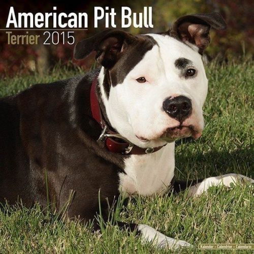 NEW 2015 American Pit Bull Terrier Wall Calendar by Avonside- Free Priority Ship