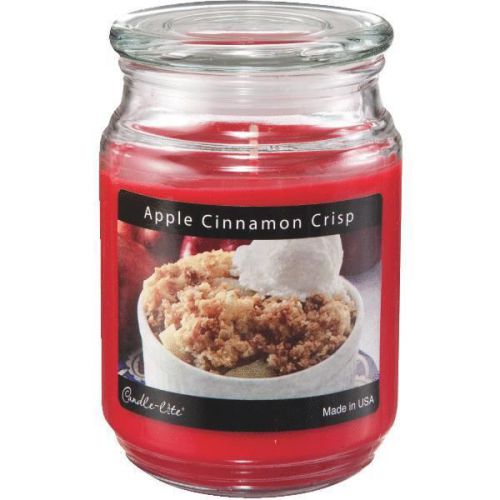 Apple Crisp Jar Candle 3297021 Pack of 4