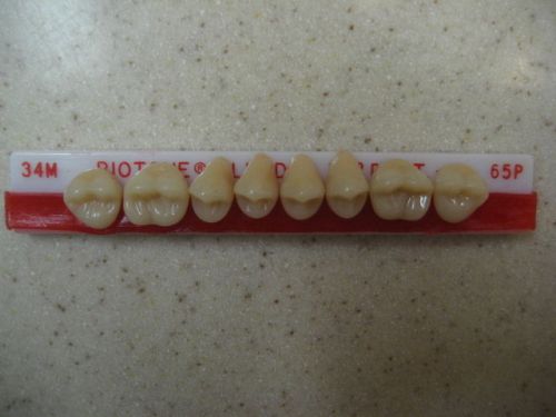 Dentsply Trubyte BioTone 33° Upper Posterior Mould 34M / 65P Dental Teeth