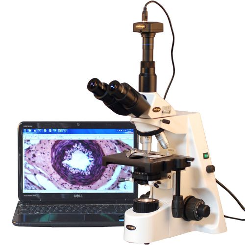 40x-2500x infinity plan research compound microscope with 8mp usb digital camera for sale