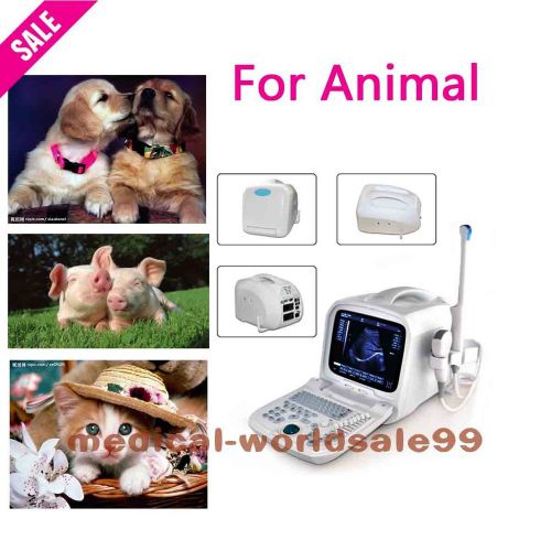 Monitor Digital Ultrasound Scanner/Machine 3D PC Veterinary Animal