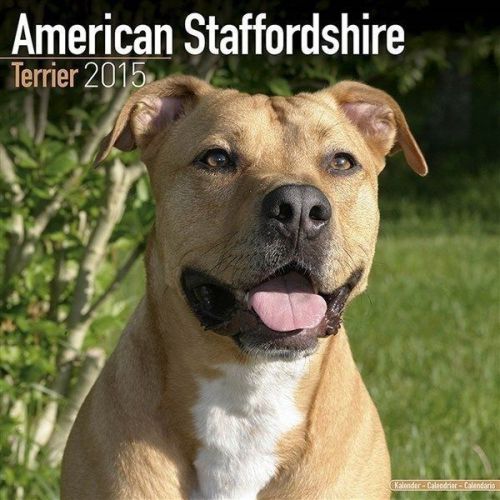 NEW 2015 American Staffordshire Terrier Calendar by Avonside- Free Priority Ship