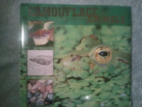 New Camouflage Animals Frogs/more16 Month Calendar 2015 Office work home11&#034;X 12&#034;