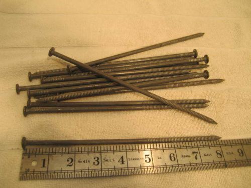 8&#034; ring shank pole barn nails - zinc coated - 35 lbs. for sale
