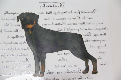 Package of 100 Full Color Heat Transfers Rottweiler New in Package