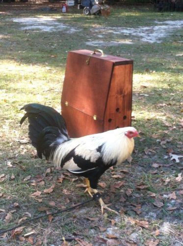 NEW GAMECOCK CARRIER FOR GAMEFOWl OR CHICKENS!!!