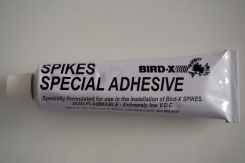 Spikes Special Adhesive Bird-X