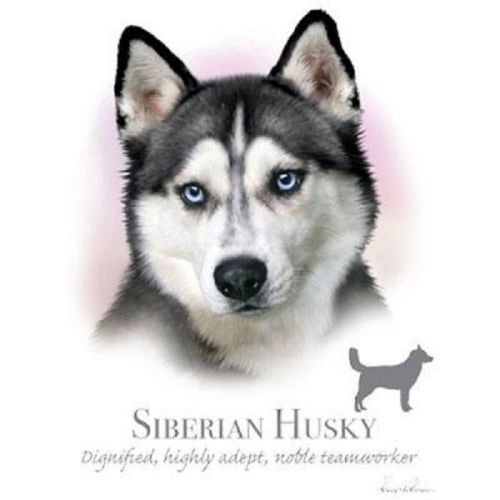 Siberian Husky Dog HEAT PRESS TRANSFER for T Shirt Tote Sweatshirt Fabric 911h