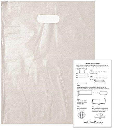 100 Frosted 9x12 Die Cut Plastic Bag with Crafting Insert