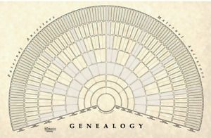 TreeSeek® Genealogy Fan Wall Chart | Large Blank Fillable Pedigree Form for...