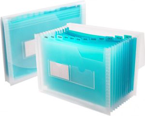 Sooez 13 Pockets Expanding File Folder with Sticky Labels, Clear(mint Green)