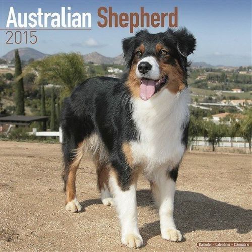 NEW 2015 Australian Shepherd Wall Calendar by Avonside- Free Priority Shipping!