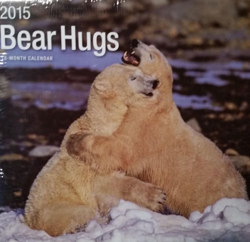18-Month 2015 BEARS HUGS 12x12 Wall Calendar NEW Scenic Wild Animals Nature