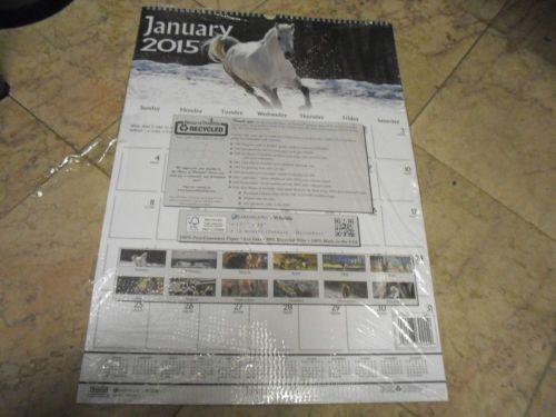 New 2015 house of doolittle earthscapes wildlife monthly wall calendar - hod373 for sale