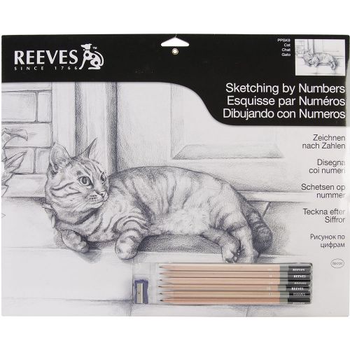 Reeves Engraving Tools Sketching By Number Kit 12X16 Cat