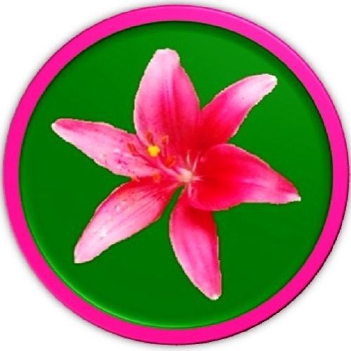 30 Custom Pink Day Lilly Personalized Address Labels
