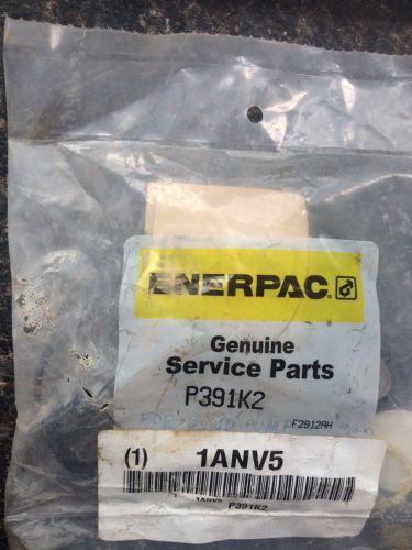 NEW Enerpac P391K2 hand pump repair kit, FREE SHIPPING to anywhere in the USA