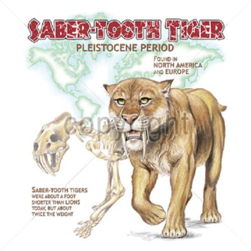 Saber Tooth Tiger Dinosaur HEAT PRESS TRANSFER for T Shirt Sweatshirt Fabric 262