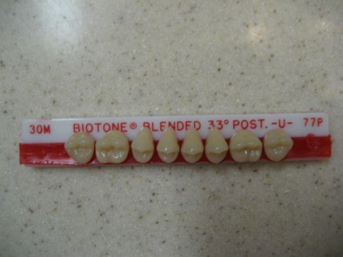 Dentsply Trubyte BioTone 33° Upper Posterior Mould 30M / 77P Dental Teeth