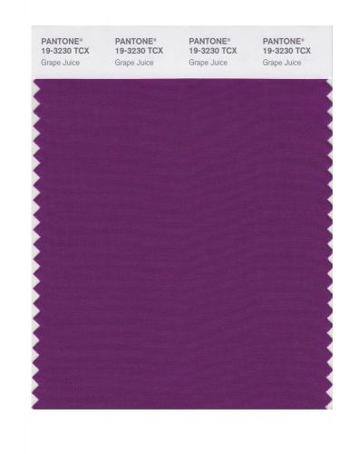 NEW PANTONE SMART 19-3230X Color Swatch Card, Grape Juice