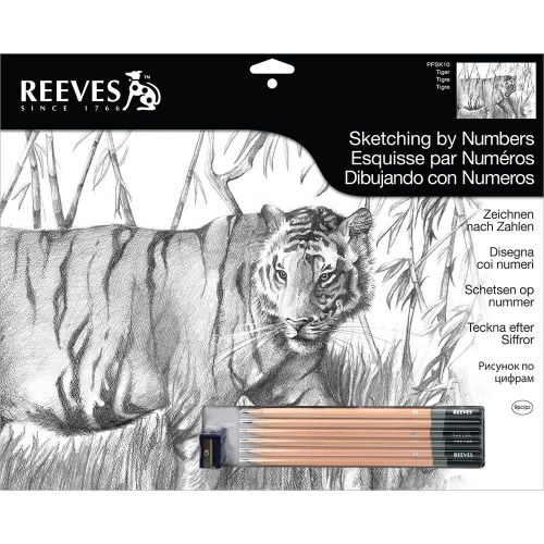Engraving Tools Reeves Sketching By Number Kit 12X16 Tiger