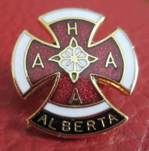 Appaloosa Horse Association of Alberta pin