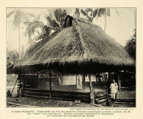1914 print filipino fruit copra coconut meat kiln agriculture hut pm3 for sale