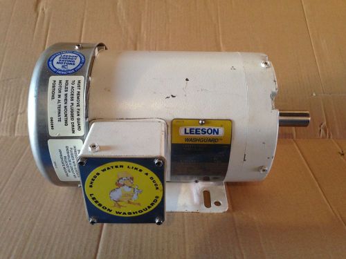 1 HP Leeson Washguard Motor