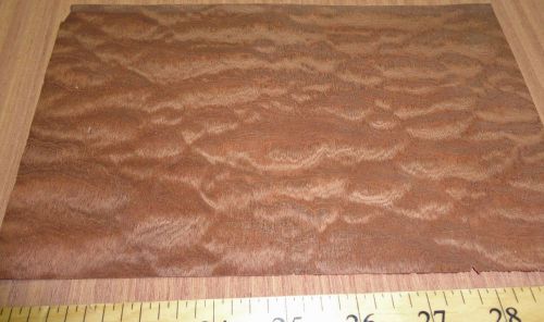 Sapele Pommele (Figured/Quilted) wood veneer 8&#034; x 6&#034; with no backing (raw)