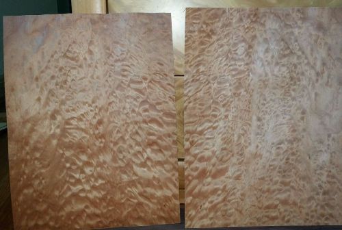 2 buckled pieces quilted maple wood veneer 17 3/4&#034; x 13 1/8&#034; Luthier pillowed