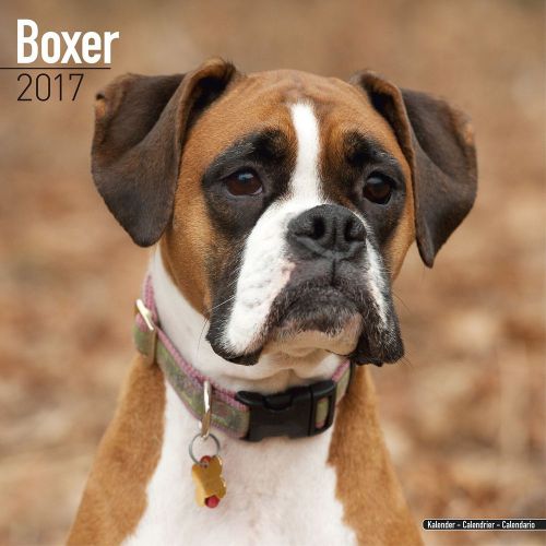 Wall Calendar BOXER BOXERS (Euro) Dog Lovers New