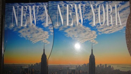 New york gallery 2010 calendar (2009, calendar paperback) for sale