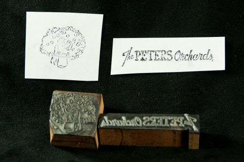 Peters orchards + man picking apples/fruit - vintage letterset printing blocks for sale