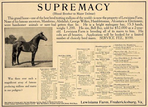 1906 ad lewisiana farm supremacy mambrino horse bred - original advertising cl8 for sale
