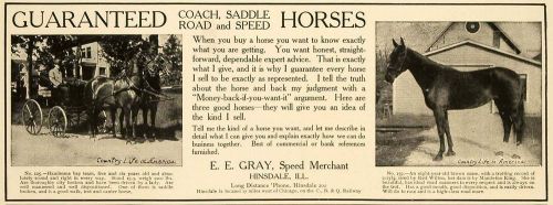 1906 Ad E.E. Gray Coach Saddle Road Speed Horses IL - ORIGINAL ADVERTISING CL4