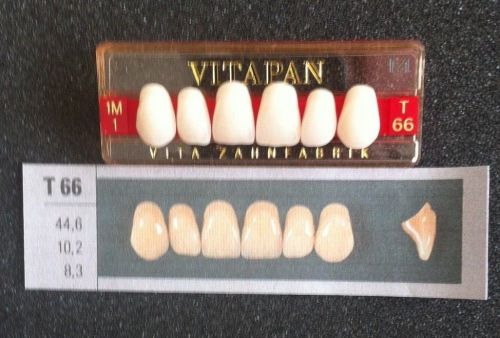 Vitapan Denture Teeth  T66   1M1