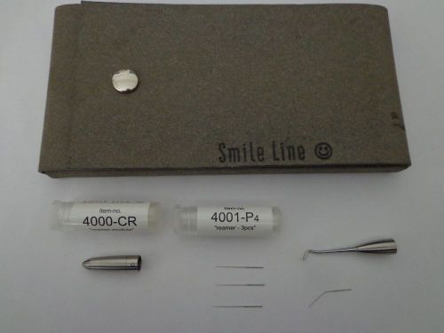 Smile Line Clear Handle Porcelain Instrument Set Leather Holder
