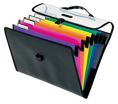 Pendaflex Desk Free Hanging Organizer with Case, Letter Size, Black with Bright