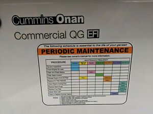 Cummins Onan QG7000 EFI - Genset Generator - 7HGJAD-2139J -Used -STARTS AND RUNS