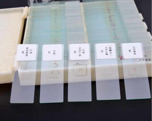 91PCS PREPARED BASIC SCIENCE MICROSCOPE GLASS SLIDES IN PLASTIC STORAGE BOX