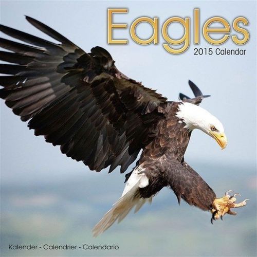 NEW 2015 Eagles Wall Calendar by Avonside- Free Priority Shipping!