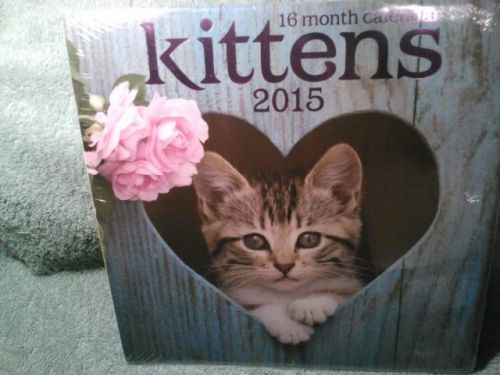 New Kittens cats16 Month Calendar 2015 Office desk work job school home 12&#034;X 12&#034;