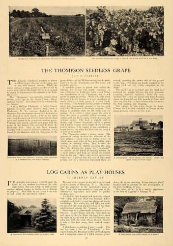 1909 Article Thompson Seedless Grape Log Cabin Stabler - ORIGINAL CL9