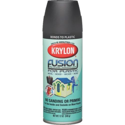 Krylon/Consumer Div 2519 Fusion For Plastic-FLAT BLACK SPRAY PAINT