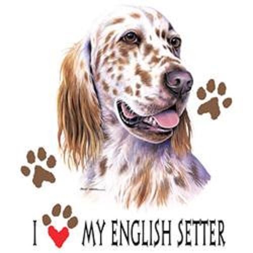 I Love My English Setter Dog HEAT PRESS TRANSFER for T Shirt Sweatshirt 843a