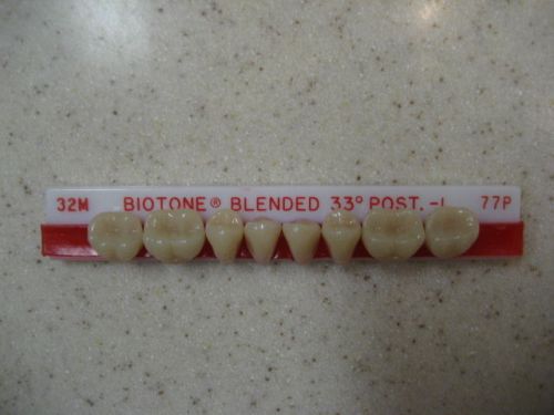 Dentsply Trubyte BioTone 33° Lower Posterior Mould 32M / 77P Dental Teeth