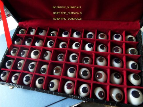 Prosthetic Eyes Assorted Size - 50 pieces-Ophthalmic Instruments - Opth bb
