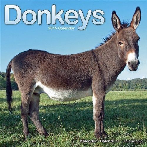 NEW 2015 Donkeys Wall Calendar by Avonside- Free Priority Shipping!