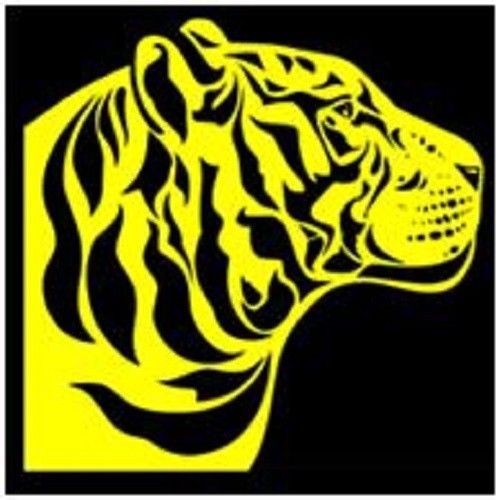 30 Custom Tiger Art Personalized Address Labels